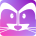 Raccoon icon