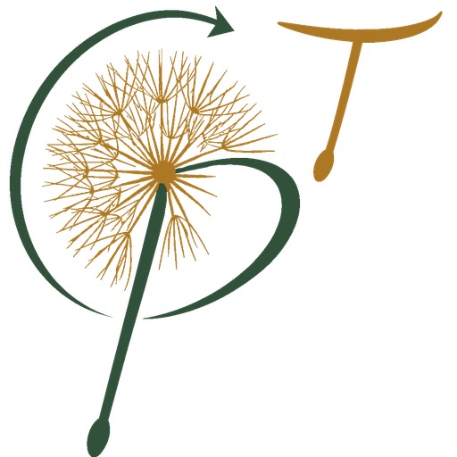 Pappus Travel Planner icon