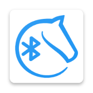 Blichess icon