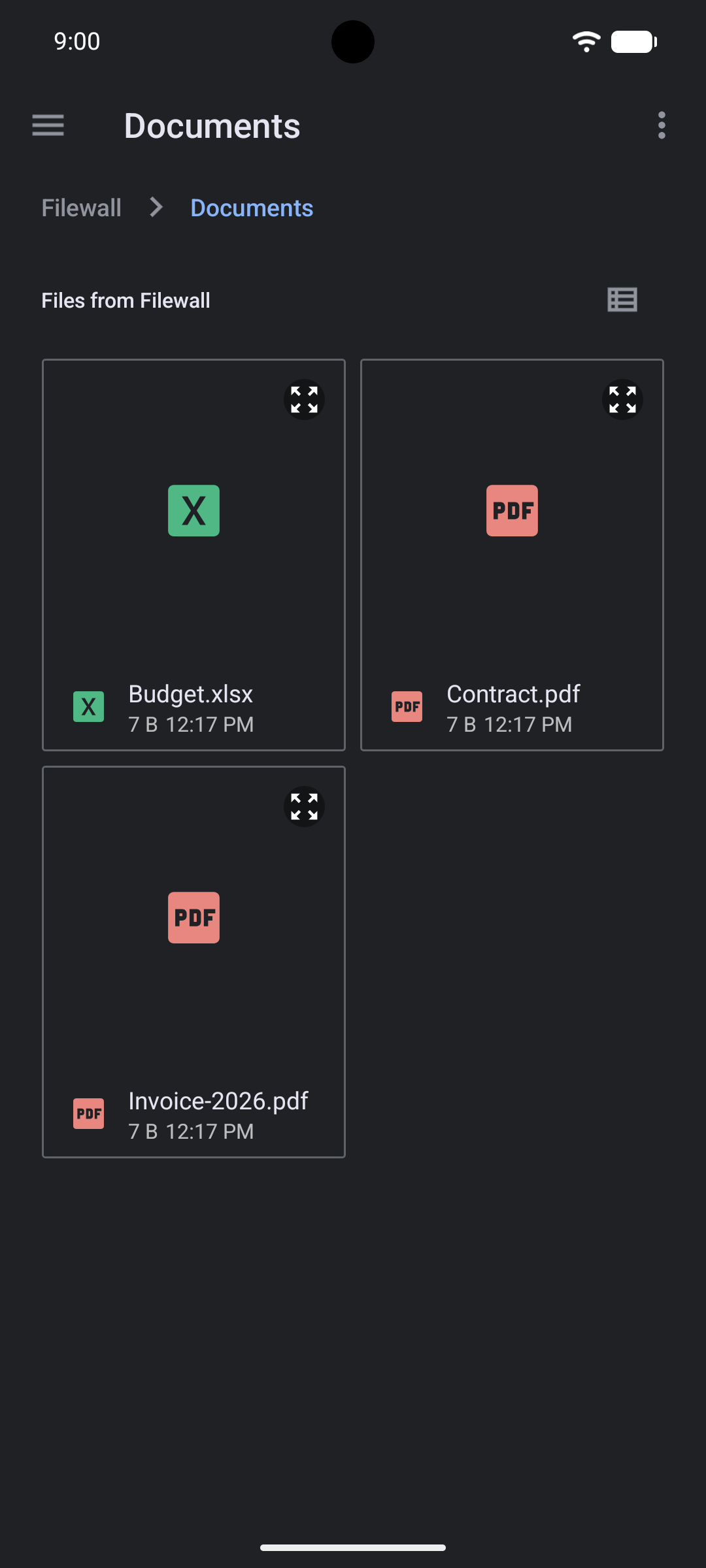 Filewall: Secure Storage Provider screenshot 1