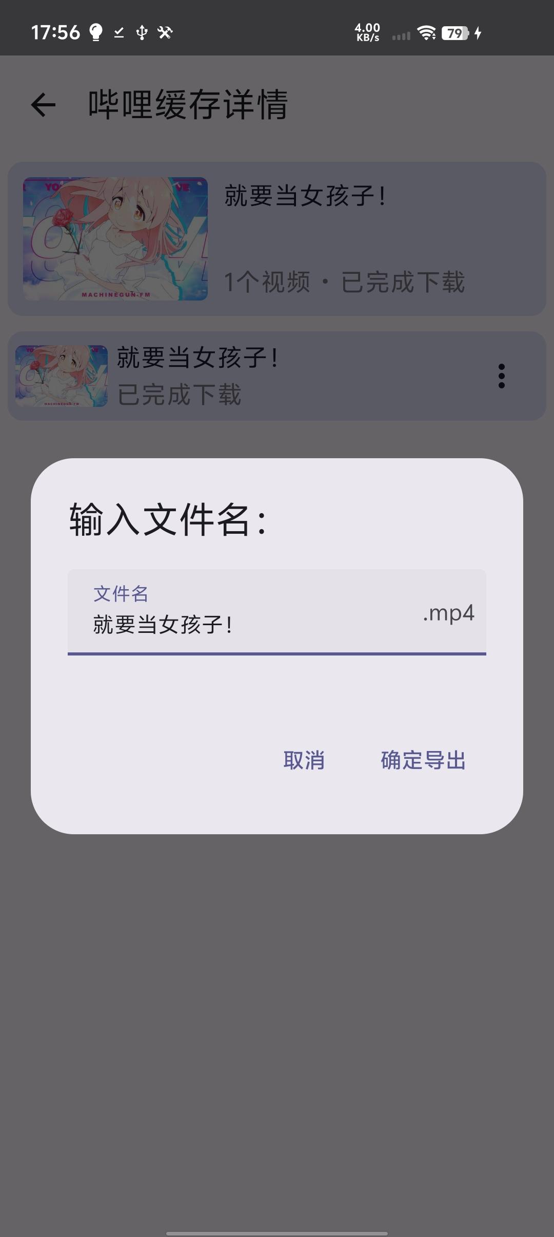BiliDownOut screenshot 2