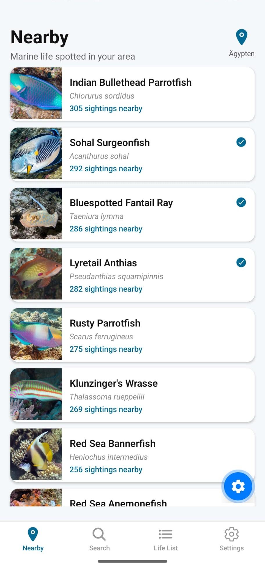 Marlin screenshot 2
