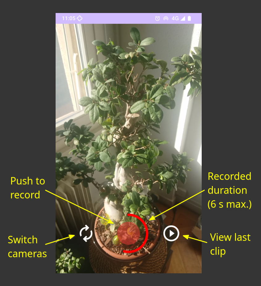 OpenVine screenshot 1
