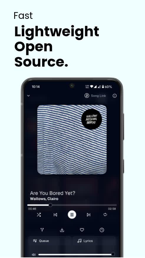Spotube screenshot 2