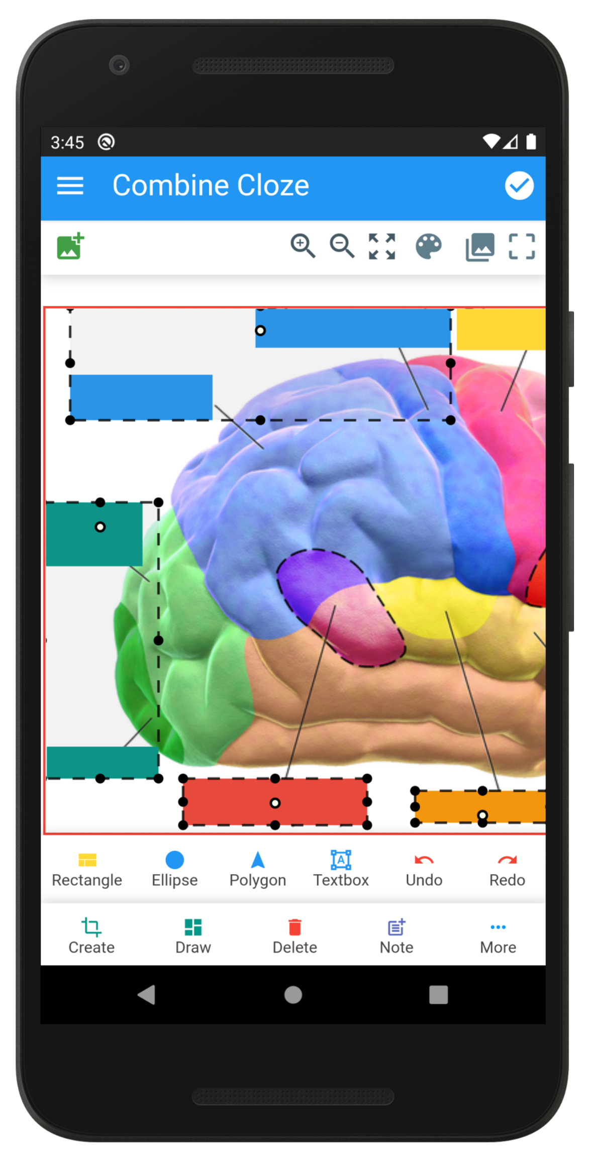 Anki Image Occlusion screenshot 6