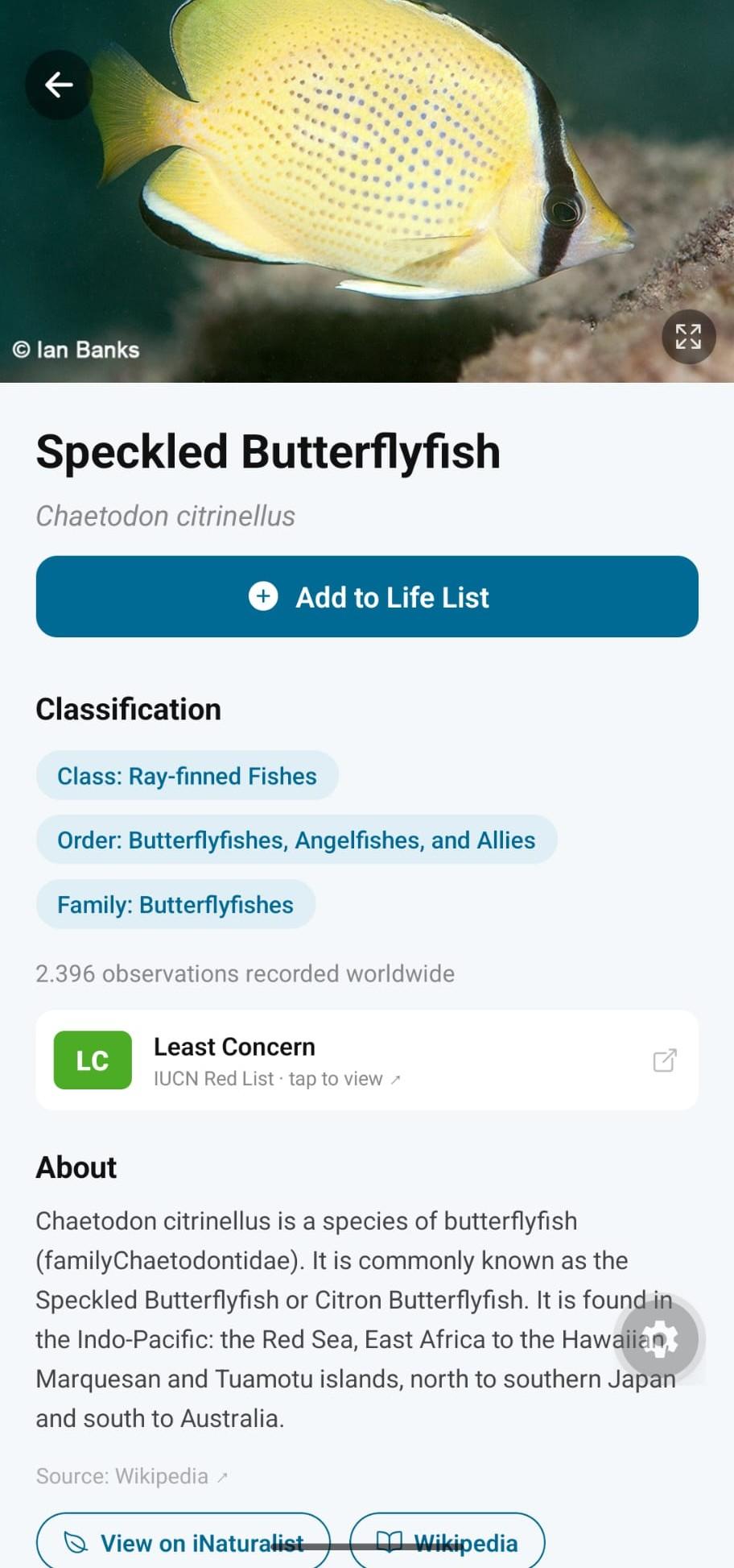 Marlin screenshot 1