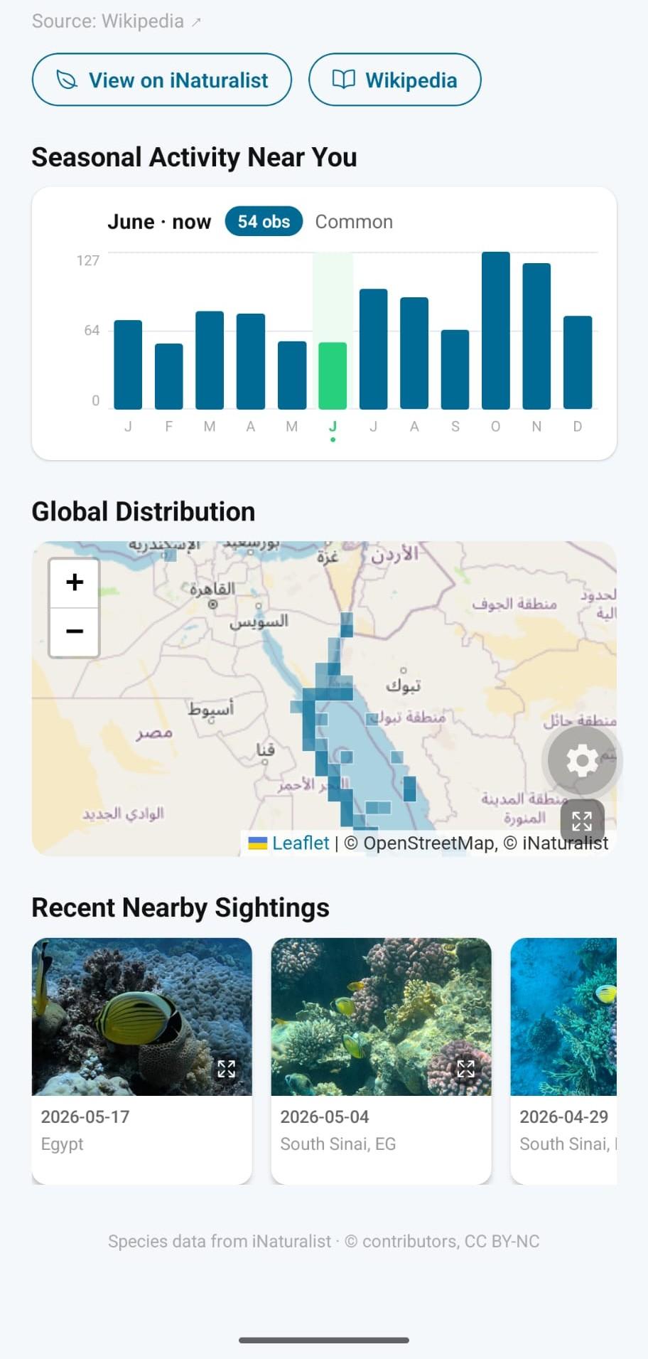 Marlin screenshot 3