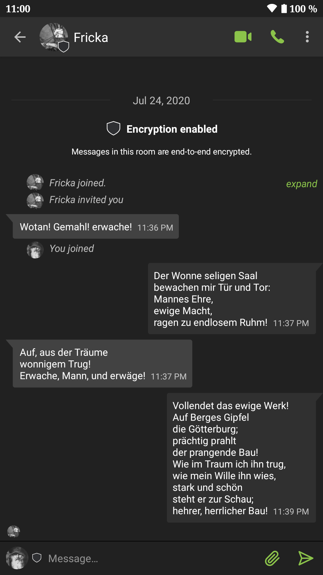 SchildiChat Legacy screenshot 4