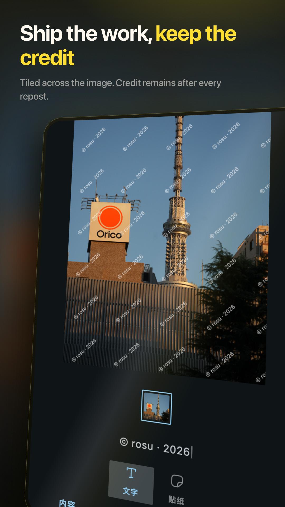 Easy Watermark screenshot 1