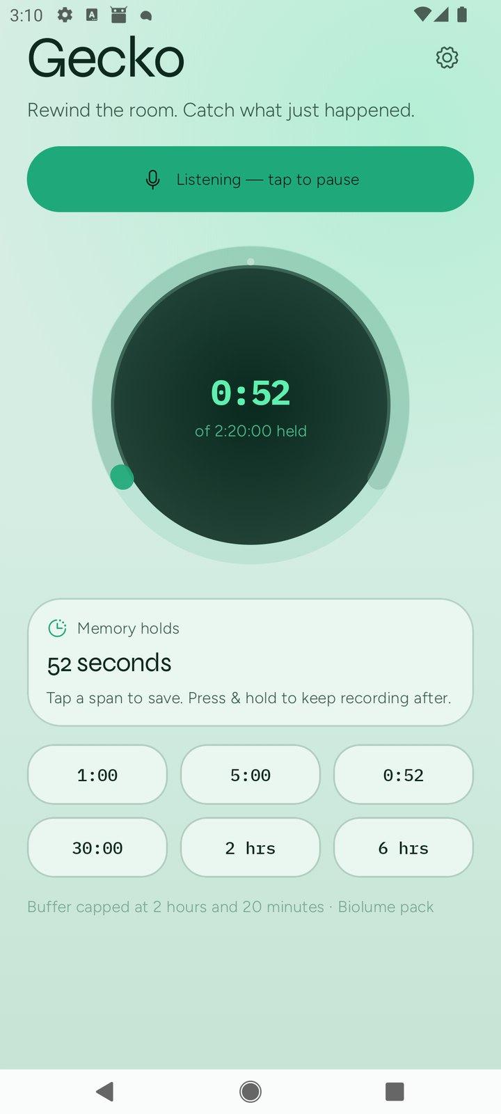 Gecko screenshot 1