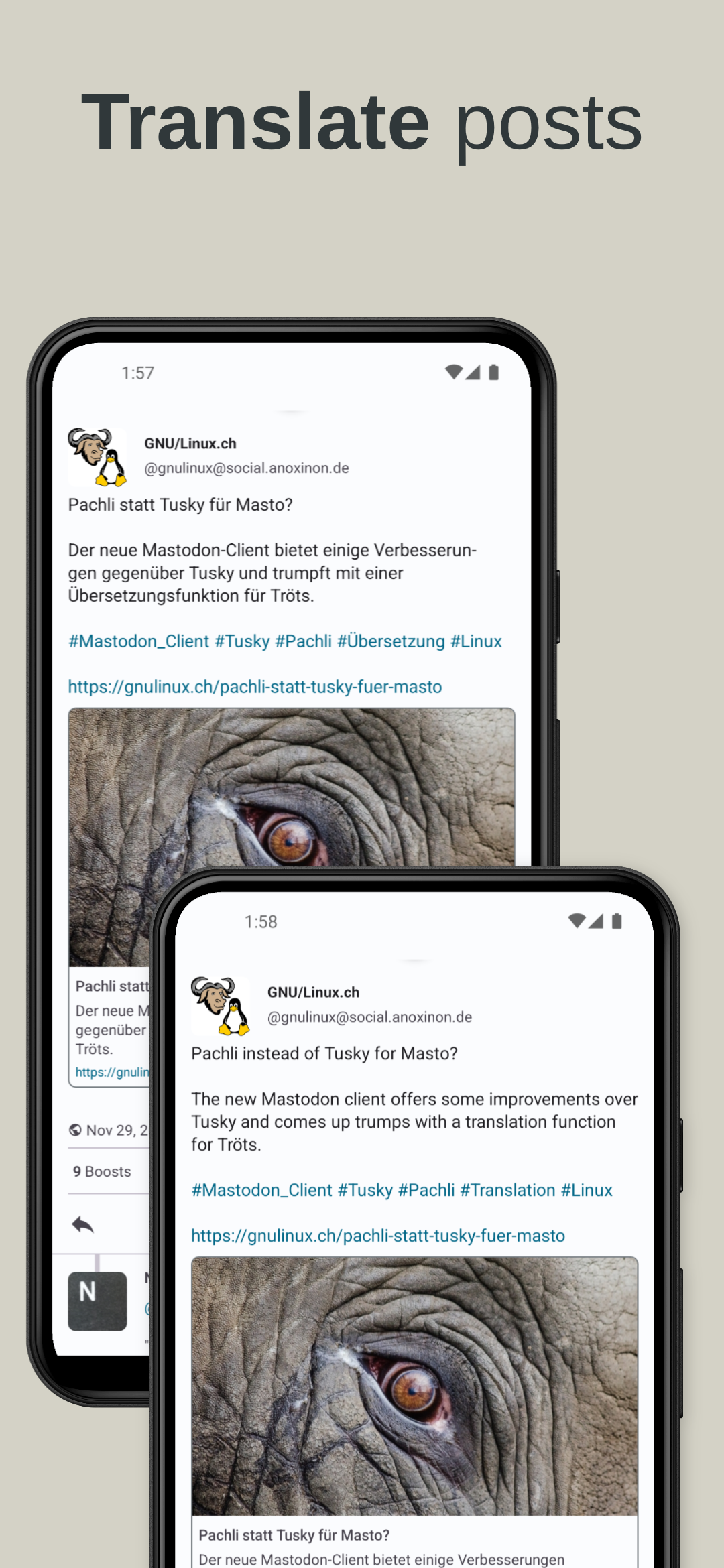Pachli for Mastodon screenshot 4