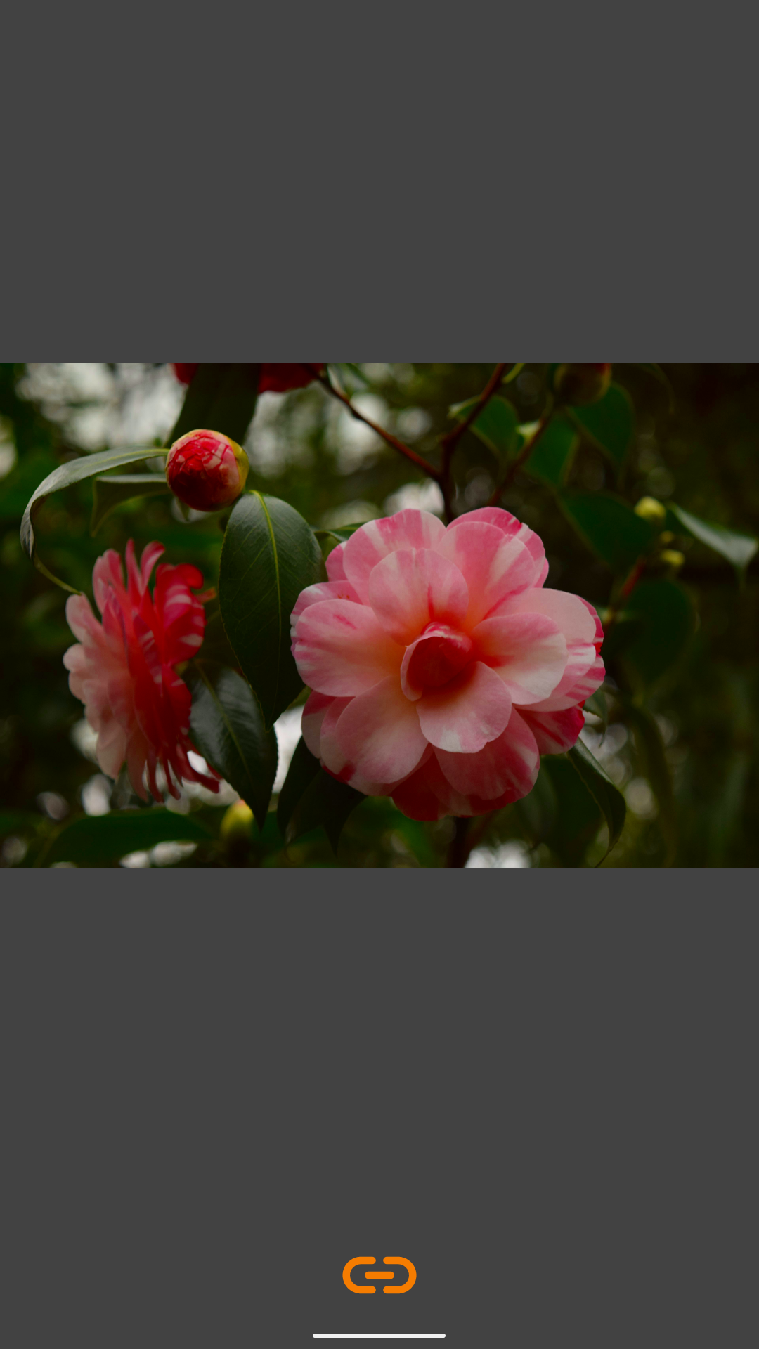 VES - Image and Photo Compare screenshot 11