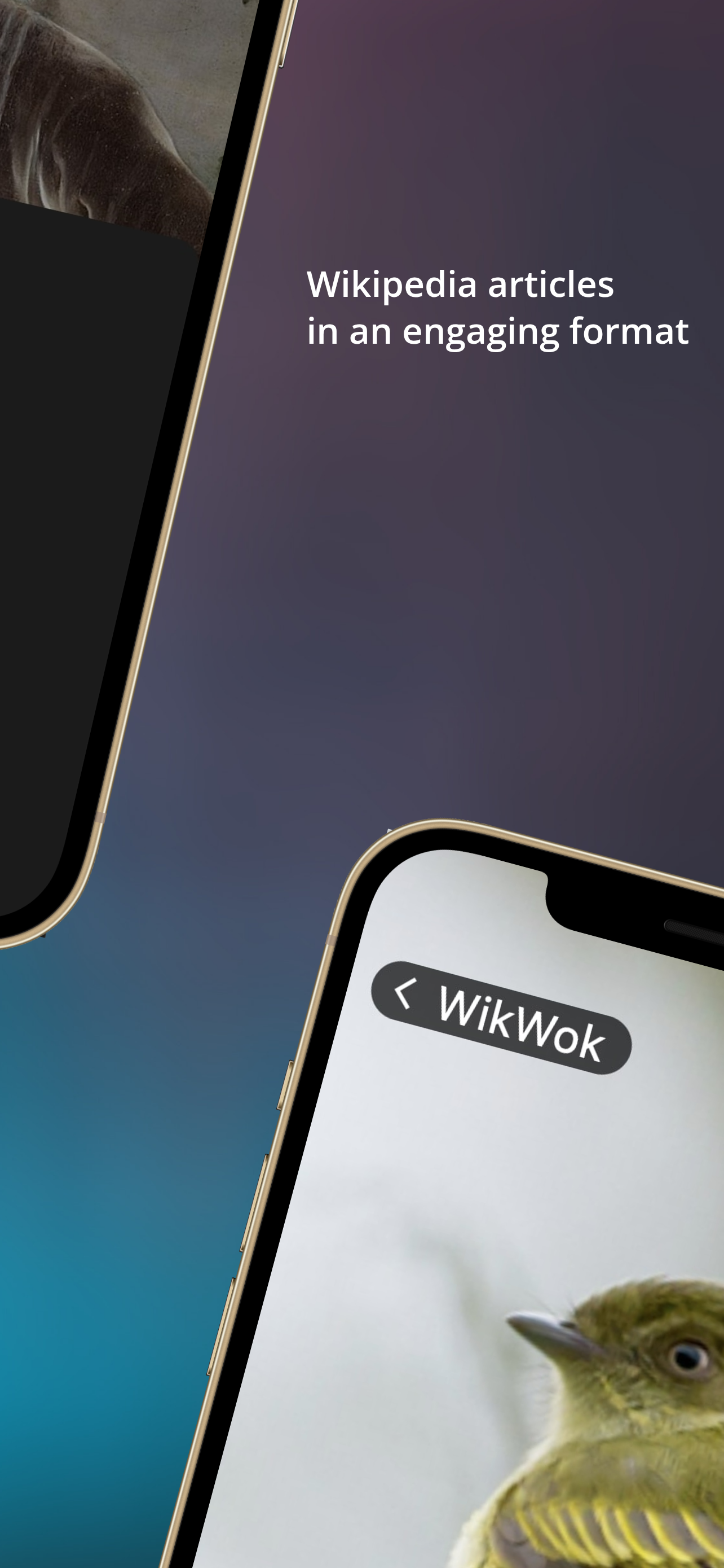 WikWok screenshot 4