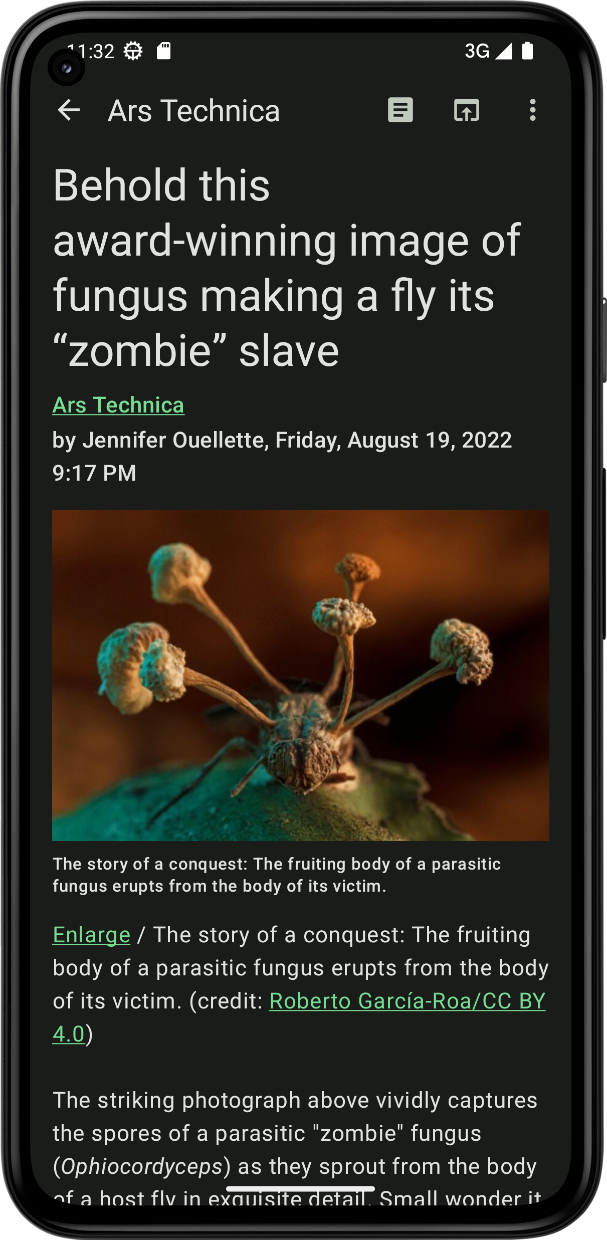 Feeder screenshot 7