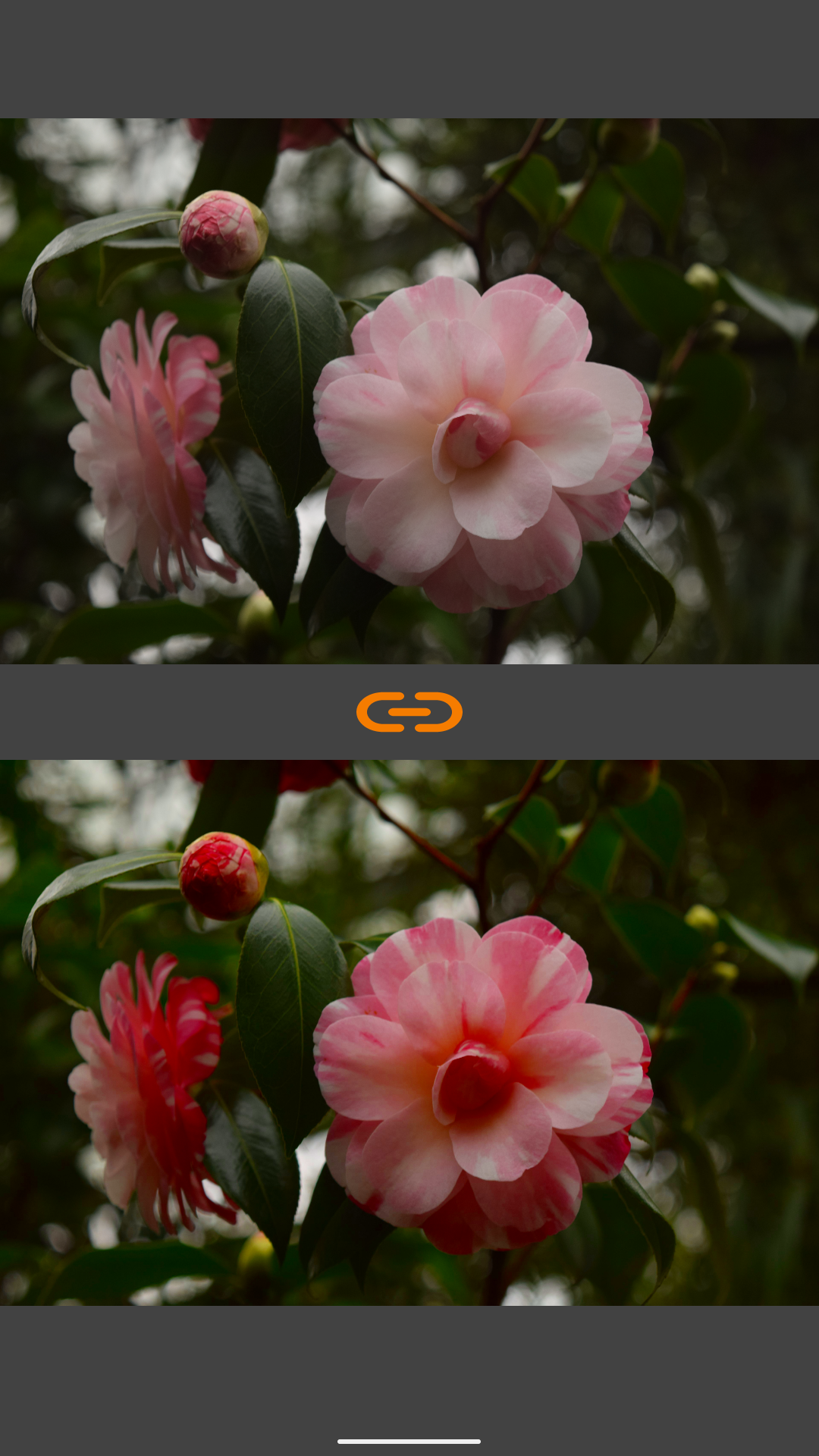 VES - Image and Photo Compare screenshot 4