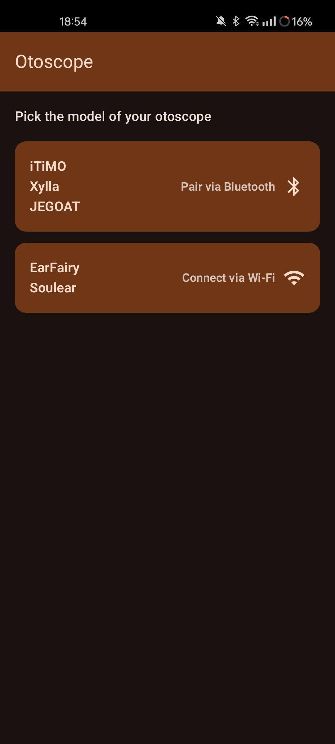 Otoscope screenshot 2