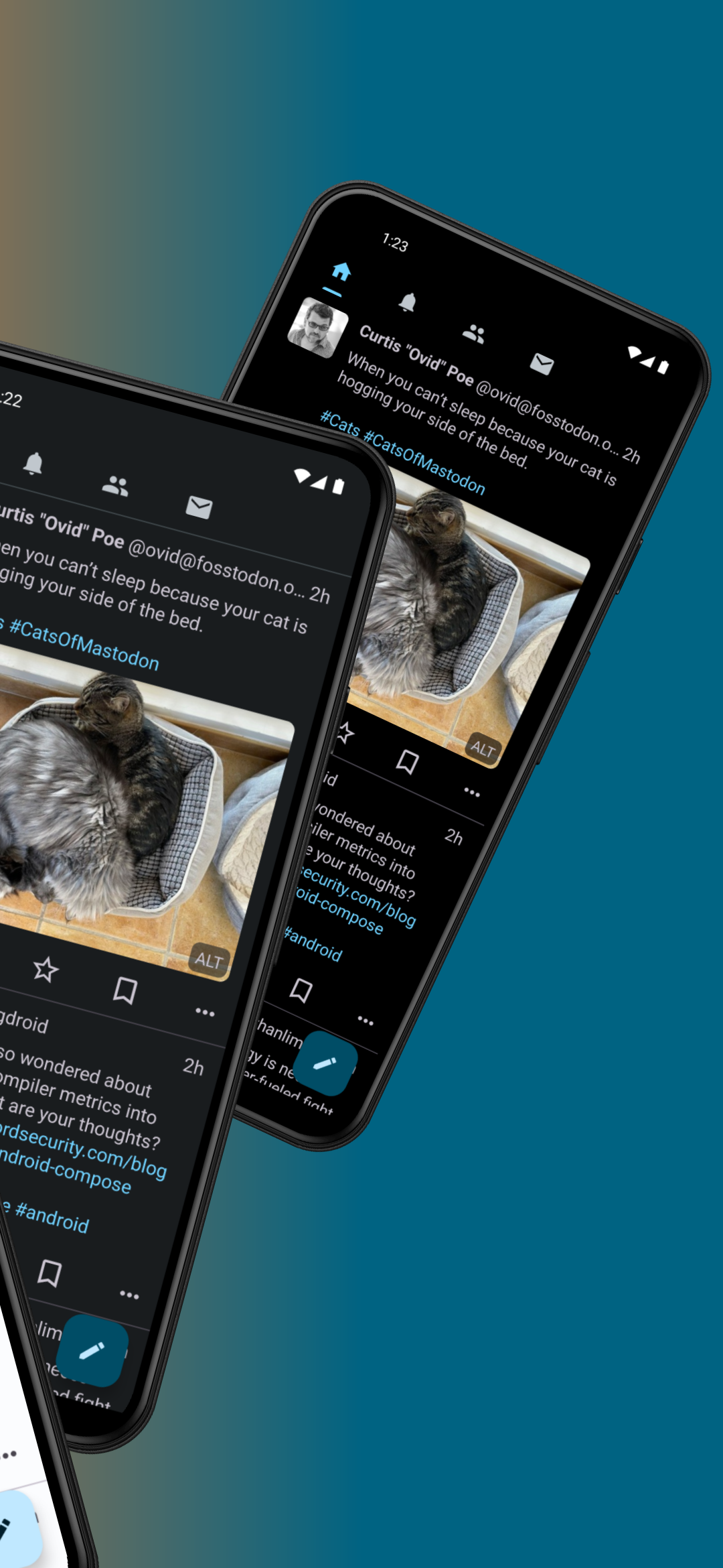 Pachli for Mastodon screenshot 2