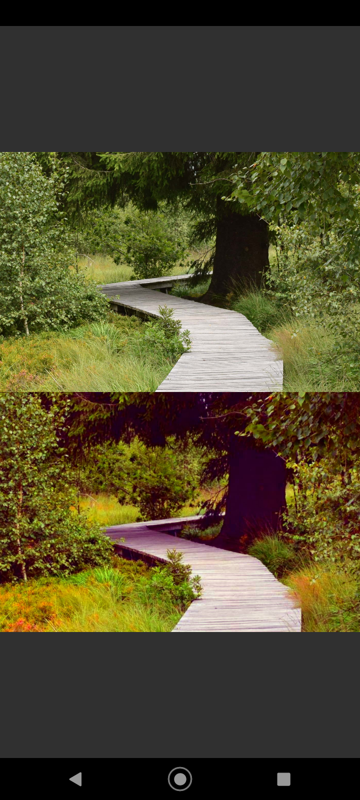 VES - Image and Photo Compare screenshot 17