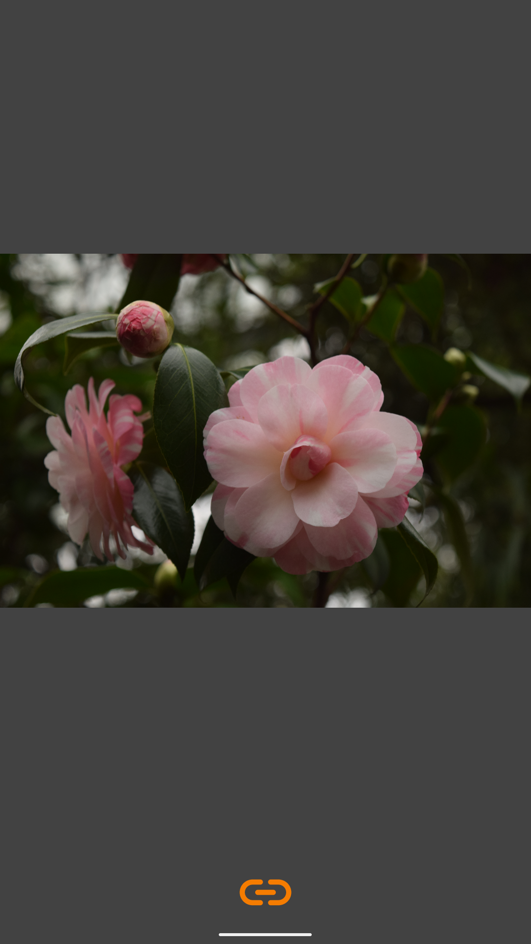 VES - Image and Photo Compare screenshot 10