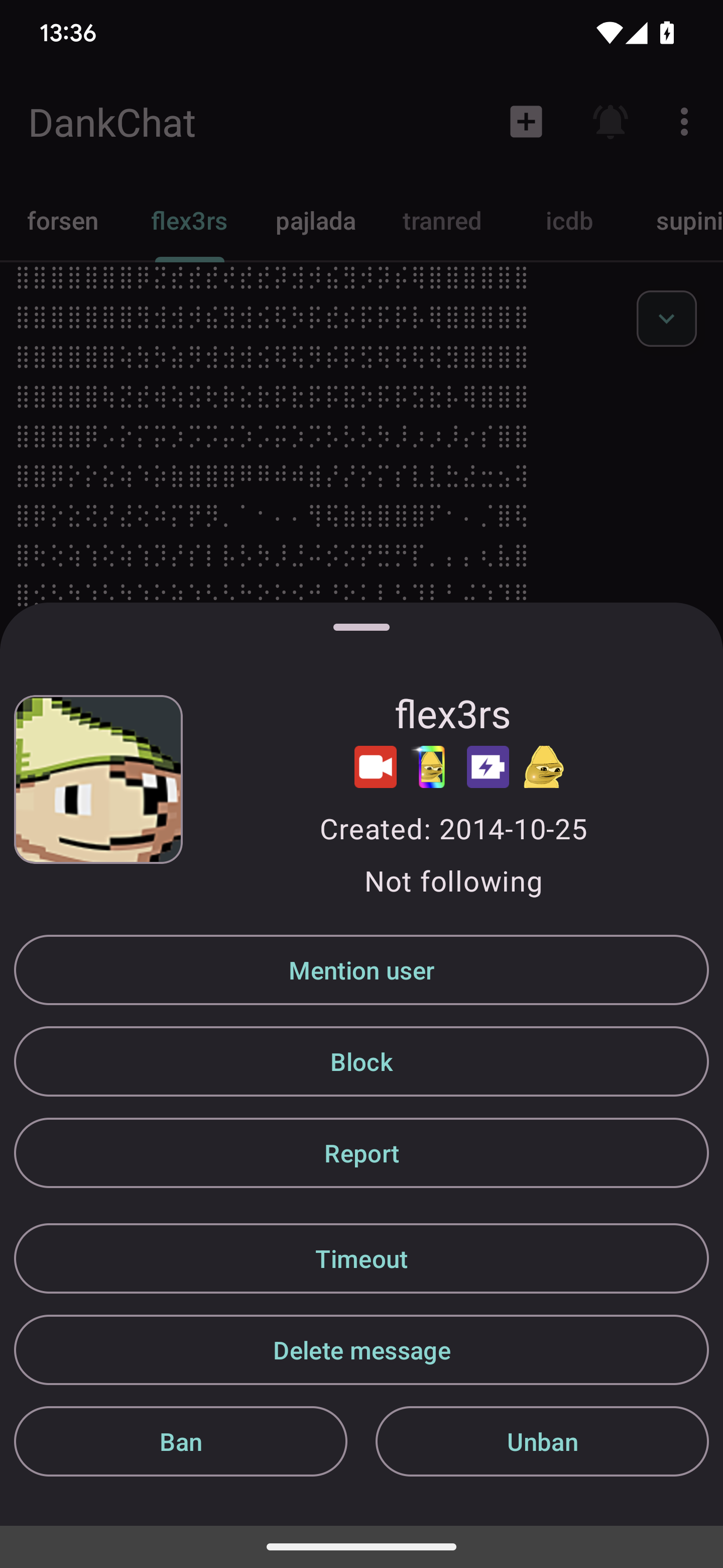 DankChat screenshot 5