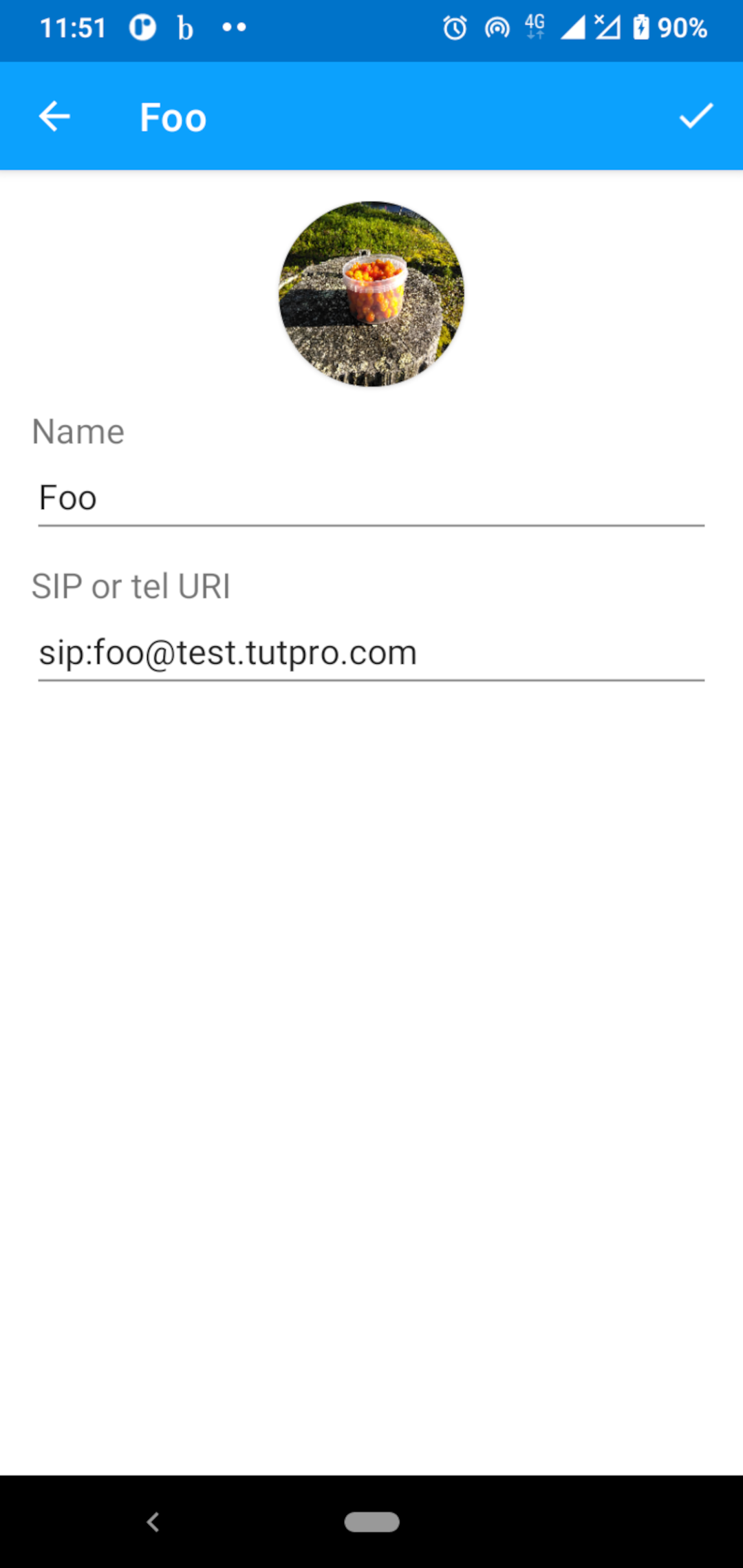 baresip screenshot 5