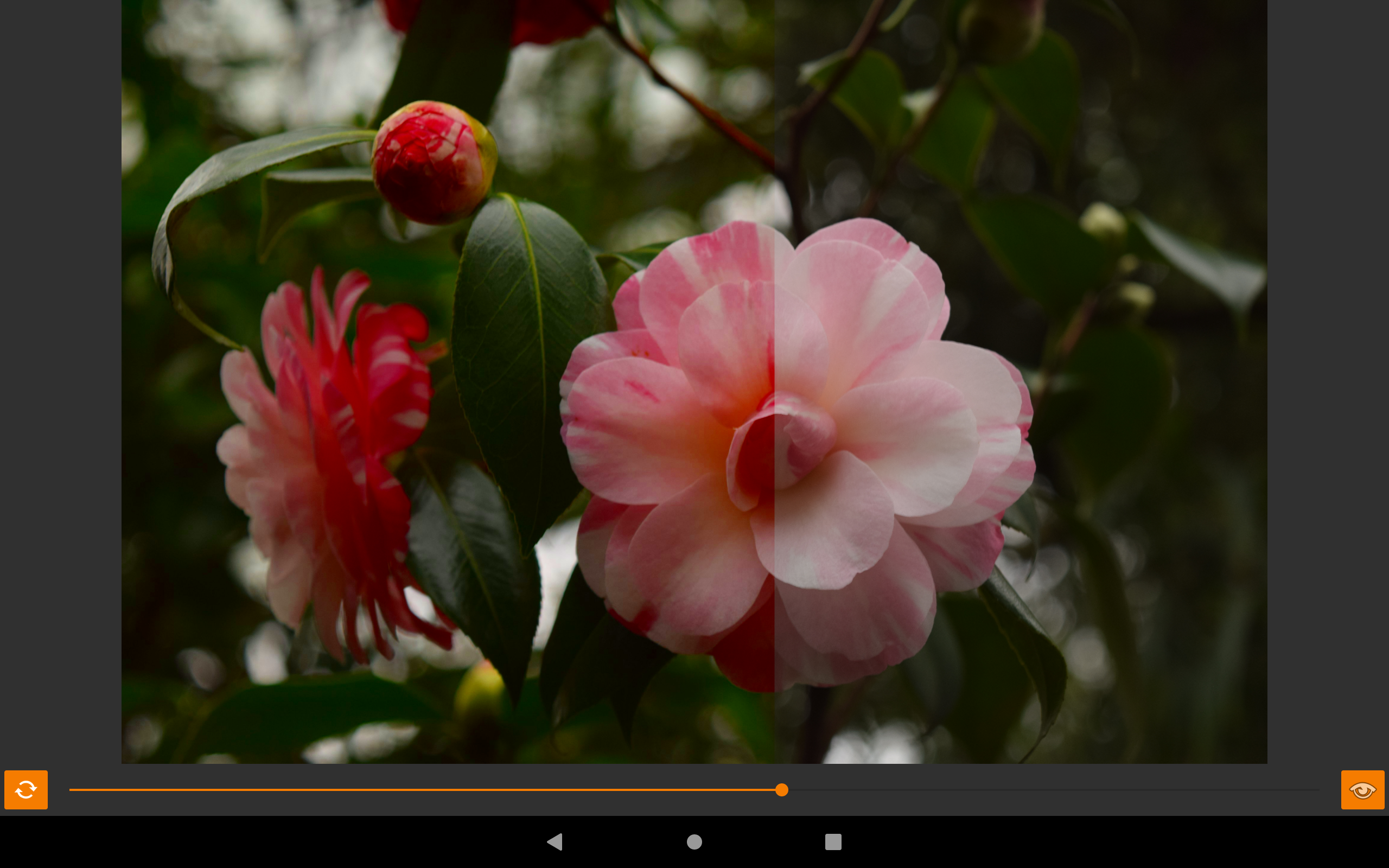 VES - Image and Photo Compare screenshot 24