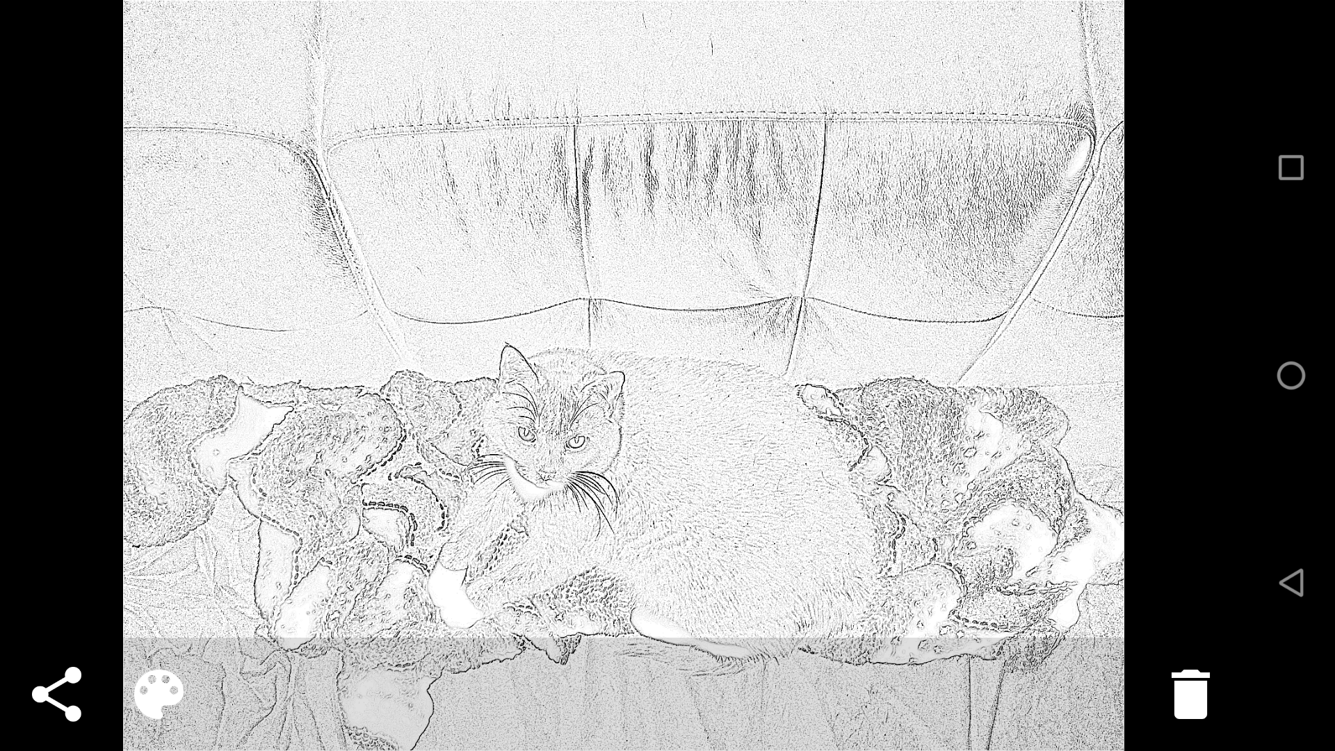Vector Camera screenshot 7