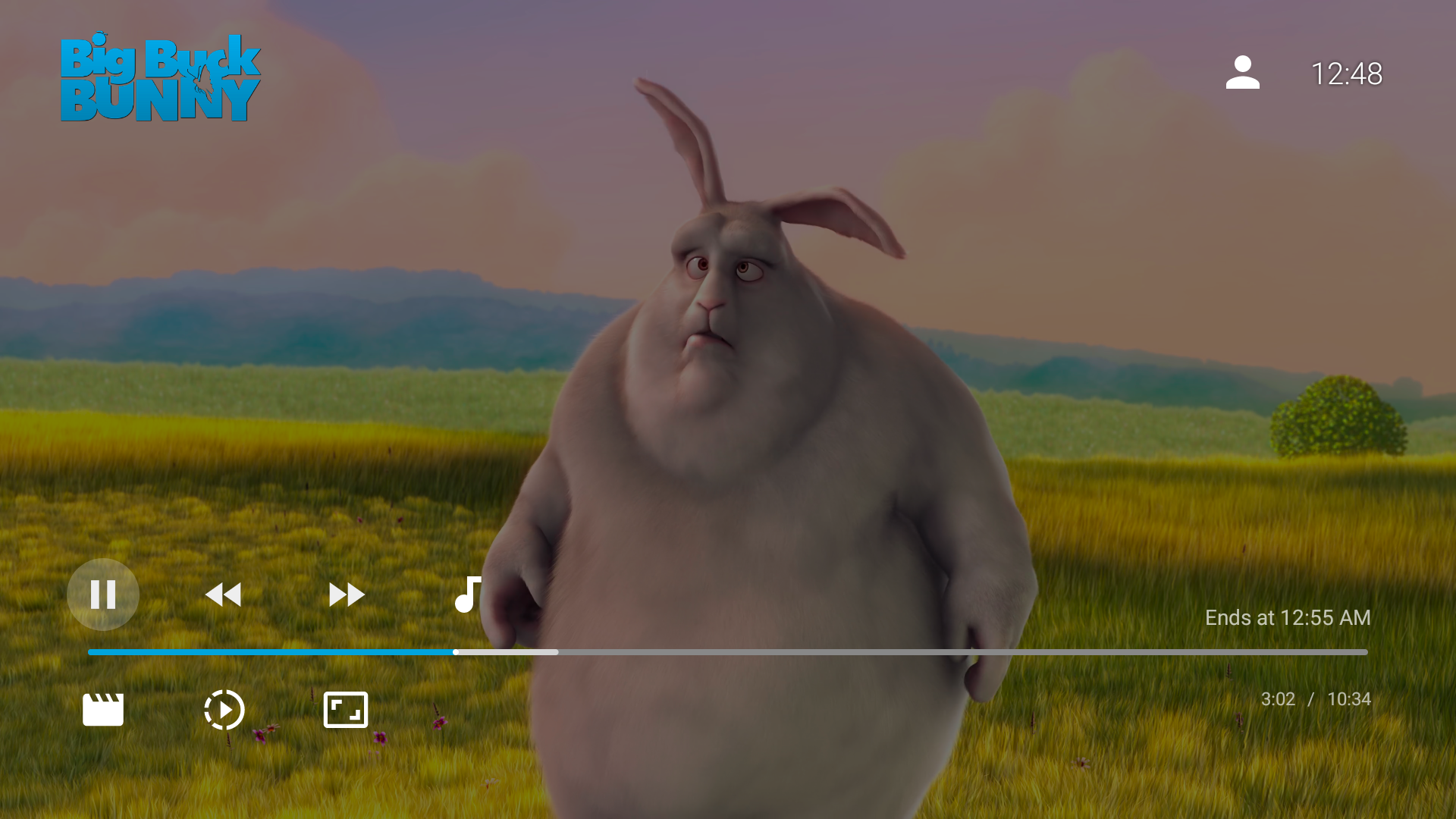 Jellyfin for Android TV screenshot 2