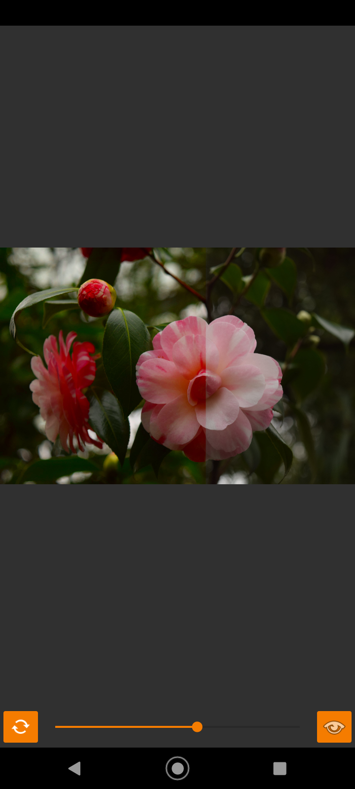 VES - Image and Photo Compare screenshot 15