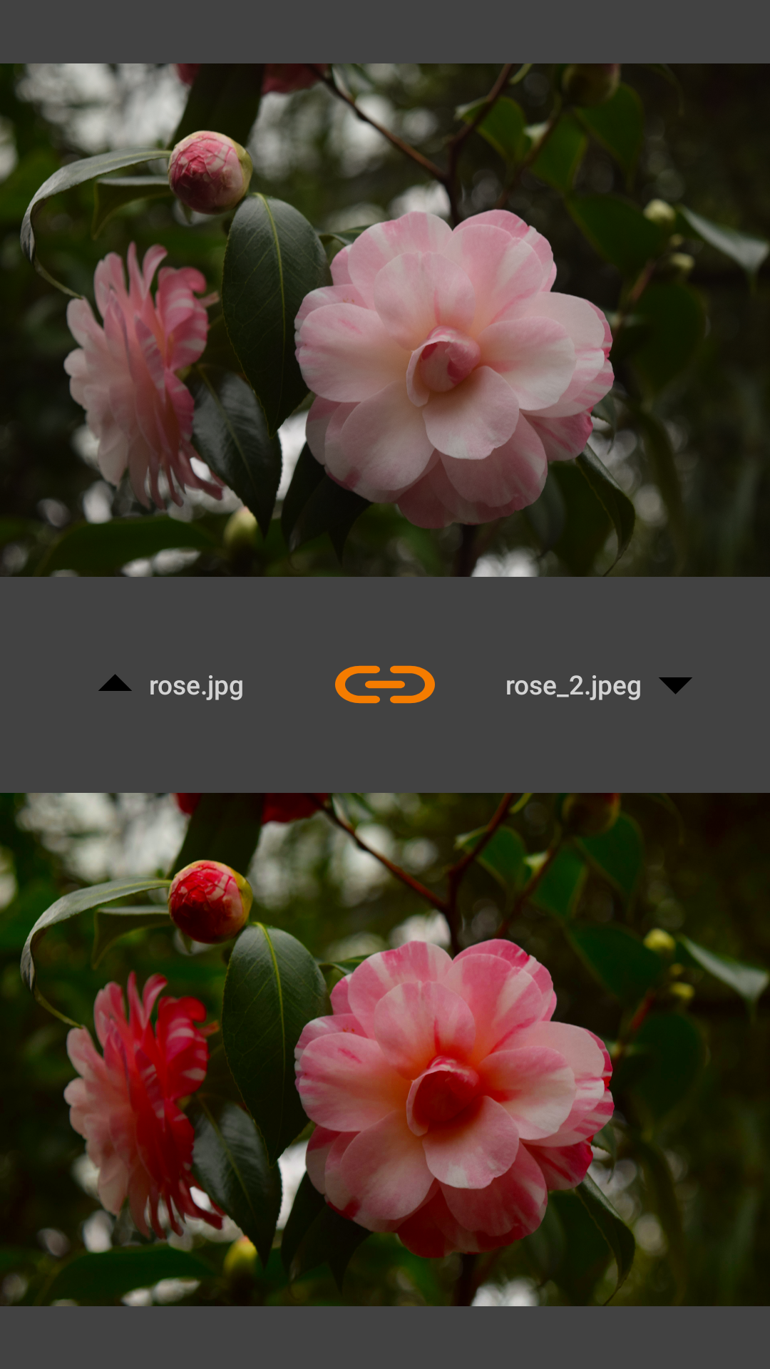 VES - Image and Photo Compare screenshot 16