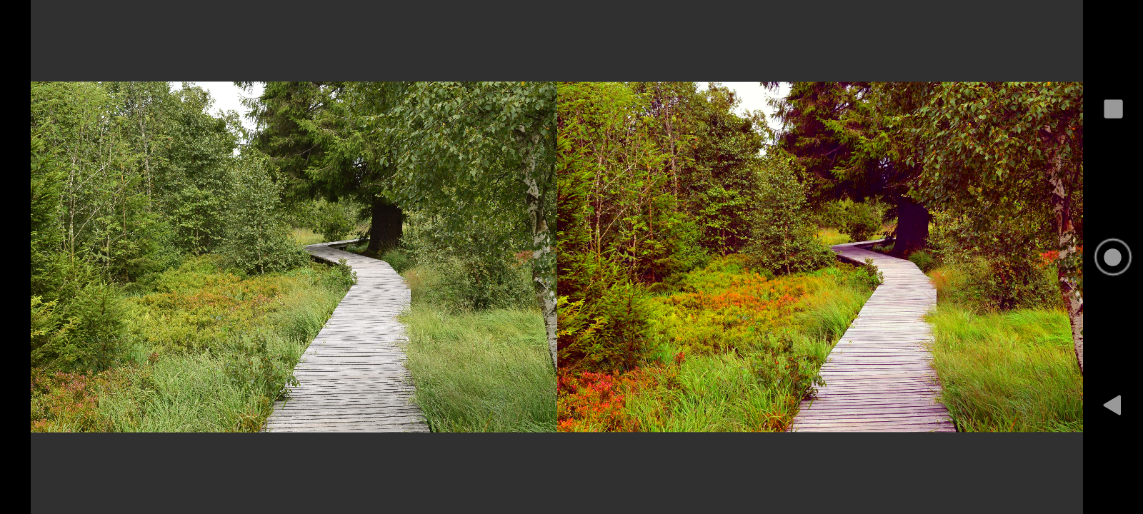 VES - Image and Photo Compare screenshot 27