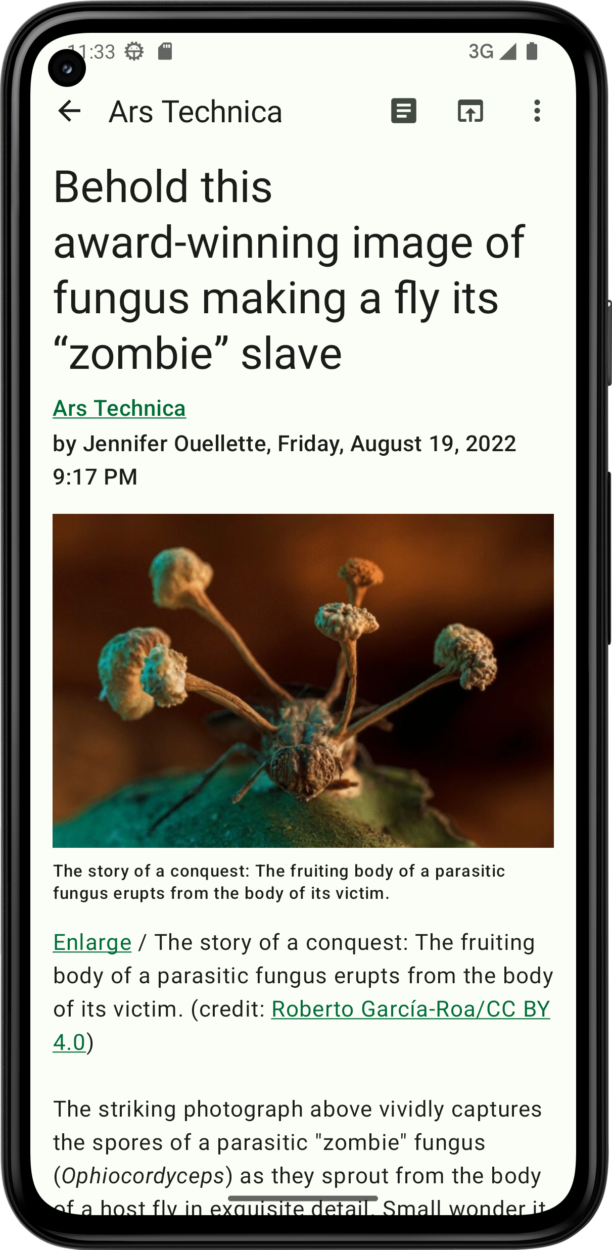 Feeder screenshot 5