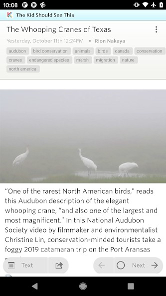 NewsBlur - News reader screenshot 11