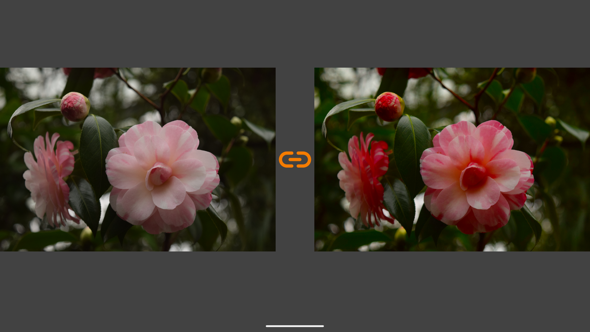 VES - Image and Photo Compare screenshot 9