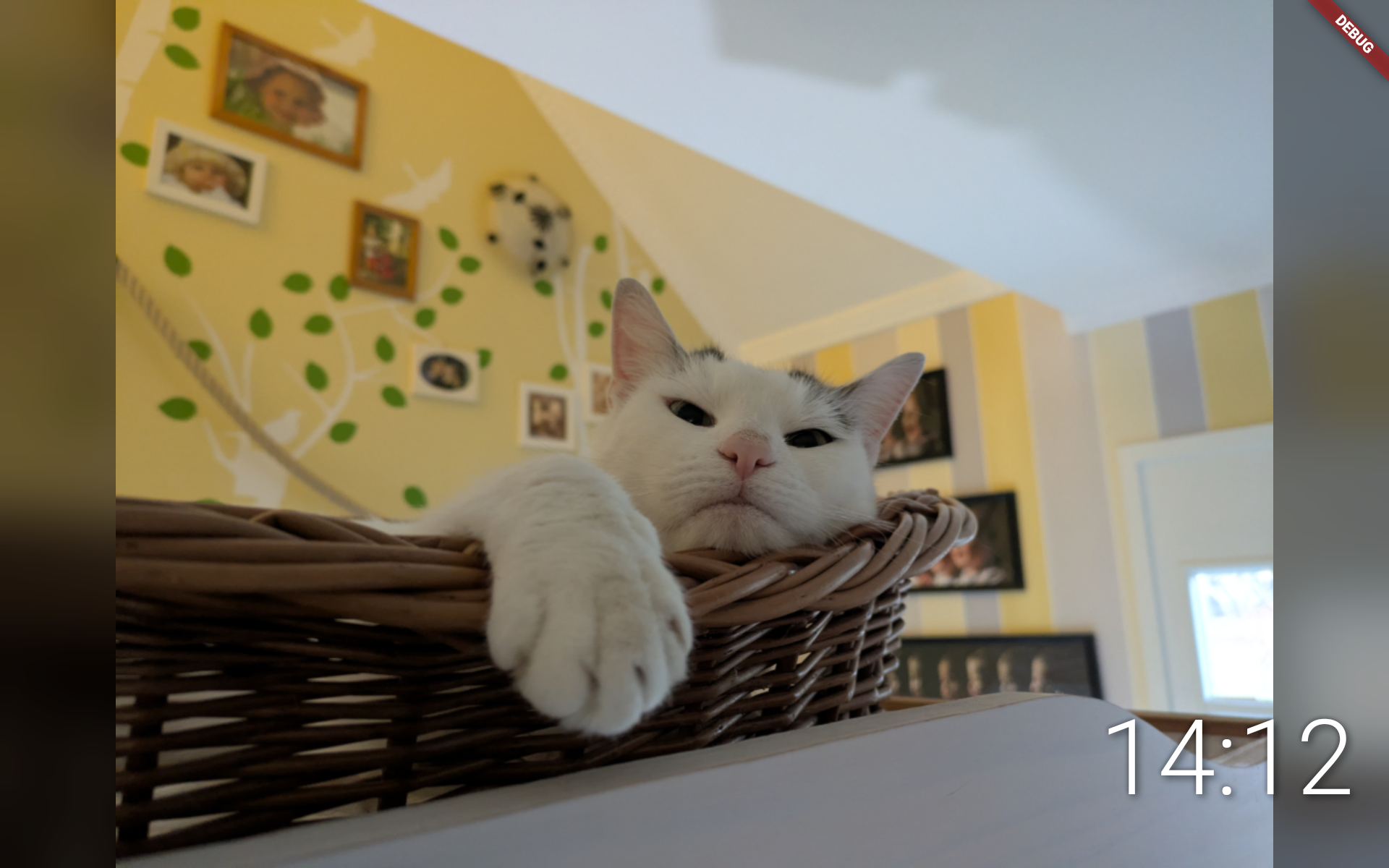 OpenPhotoFrame screenshot 1