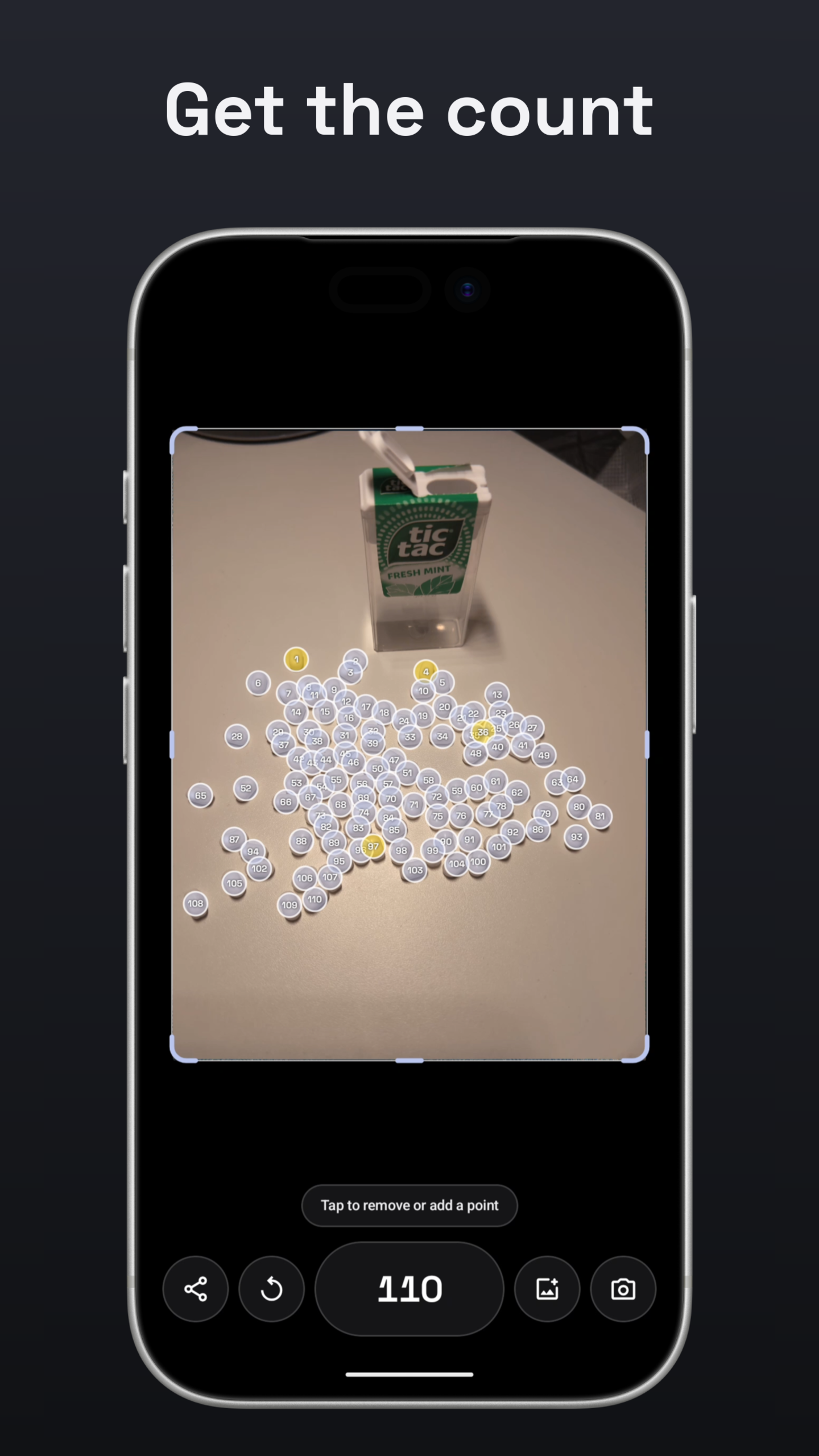 how many? - Count from Photo screenshot 3