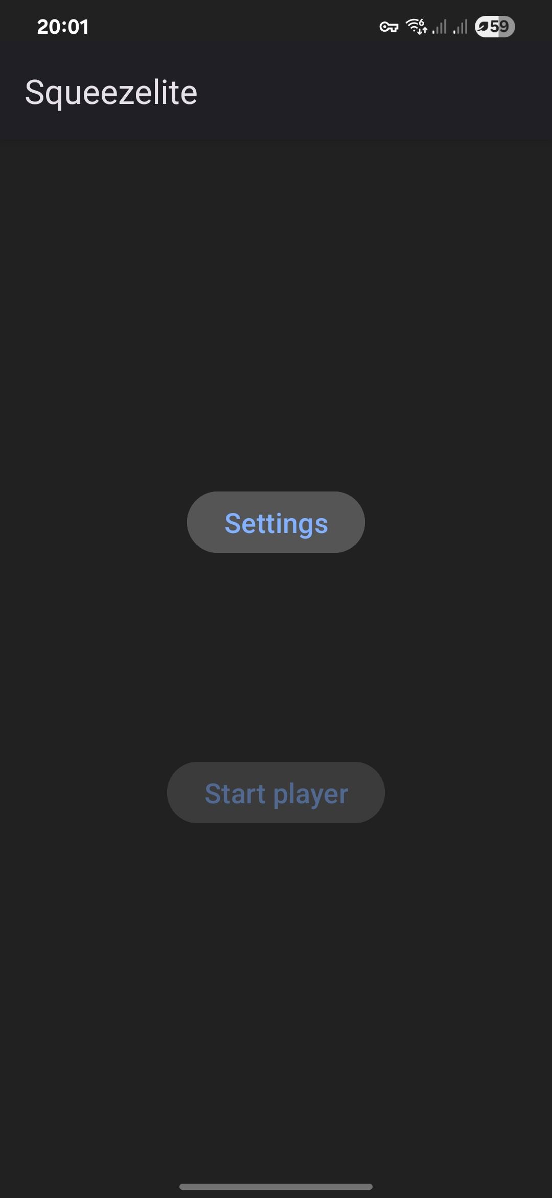 Squeezelite screenshot 1