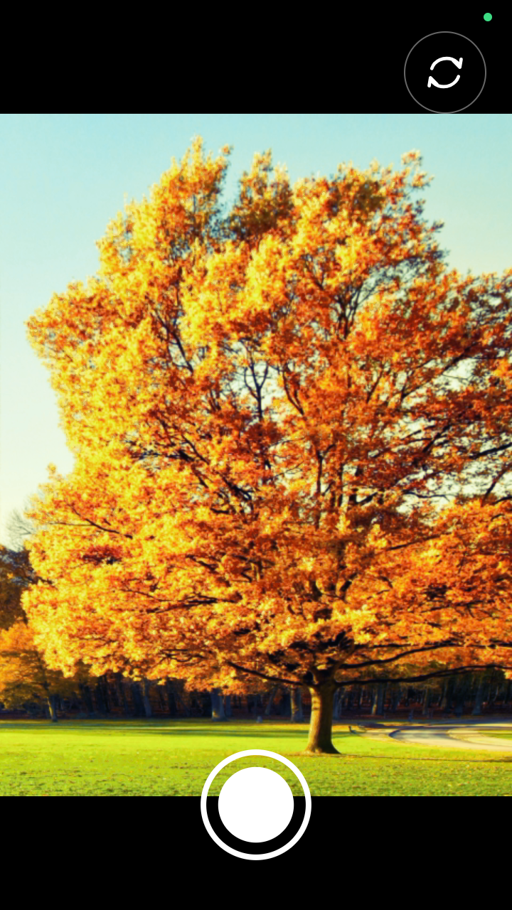 Lomo Camera screenshot 1